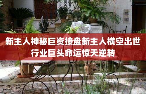新主人神秘巨资接盘新主人横空出世行业巨头命运惊天逆转