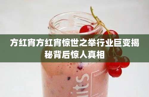 方红宵方红宵惊世之举行业巨变揭秘背后惊人真相