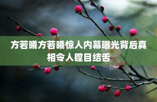 方若曦方若曦惊人内幕曝光背后真相令人瞠目结舌