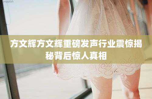 方文辉方文辉重磅发声行业震惊揭秘背后惊人真相
