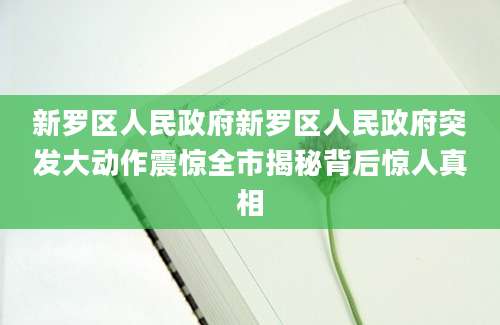 新罗区人民政府新罗区人民政府突发大动作震惊全市揭秘背后惊人真相