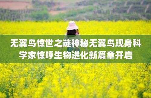 无翼鸟惊世之谜神秘无翼鸟现身科学家惊呼生物进化新篇章开启
