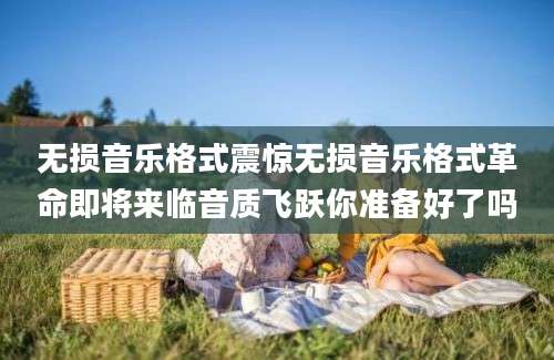 无损音乐格式震惊无损音乐格式革命即将来临音质飞跃你准备好了吗