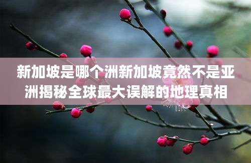 新加坡是哪个洲新加坡竟然不是亚洲揭秘全球最大误解的地理真相