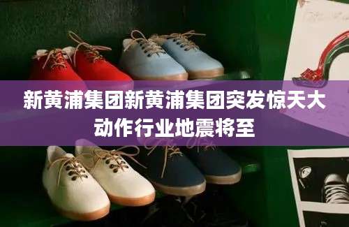 新黄浦集团新黄浦集团突发惊天大动作行业地震将至