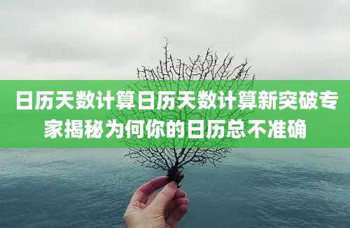 日历天数计算日历天数计算新突破专家揭秘为何你的日历总不准确