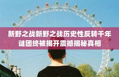 新野之战新野之战历史性反转千年谜团终被揭开震撼揭秘真相