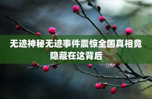 无迹神秘无迹事件震惊全国真相竟隐藏在这背后