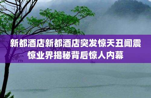 新都酒店新都酒店突发惊天丑闻震惊业界揭秘背后惊人内幕