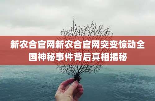 新农合官网新农合官网突变惊动全国神秘事件背后真相揭秘