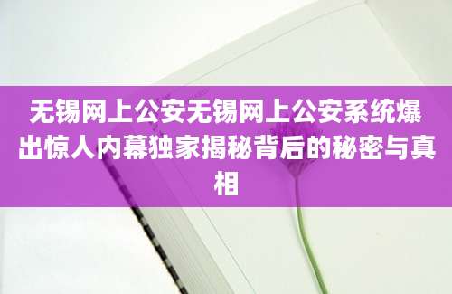 无锡网上公安无锡网上公安系统爆出惊人内幕独家揭秘背后的秘密与真相