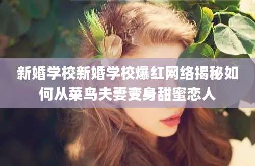 新婚学校新婚学校爆红网络揭秘如何从菜鸟夫妻变身甜蜜恋人
