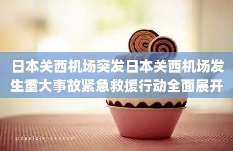日本关西机场突发日本关西机场发生重大事故紧急救援行动全面展开
