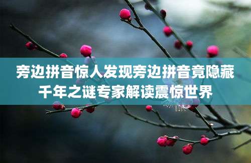 旁边拼音惊人发现旁边拼音竟隐藏千年之谜专家解读震惊世界