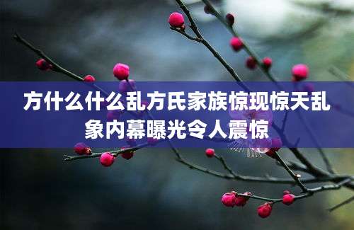 方什么什么乱方氏家族惊现惊天乱象内幕曝光令人震惊