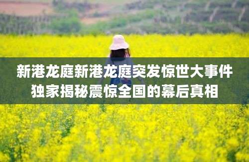 新港龙庭新港龙庭突发惊世大事件独家揭秘震惊全国的幕后真相