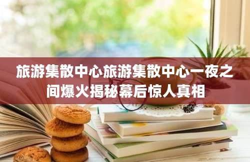 旅游集散中心旅游集散中心一夜之间爆火揭秘幕后惊人真相