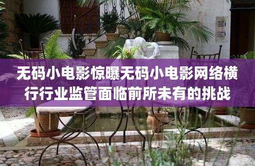 无码小电影惊曝无码小电影网络横行行业监管面临前所未有的挑战