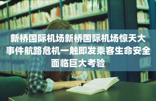 新桥国际机场新桥国际机场惊天大事件航路危机一触即发乘客生命安全面临巨大考验