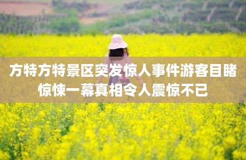 方特方特景区突发惊人事件游客目睹惊悚一幕真相令人震惊不已