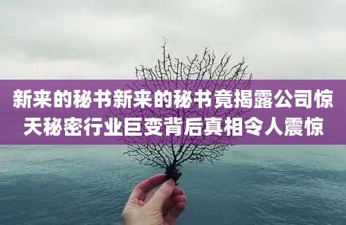新来的秘书新来的秘书竟揭露公司惊天秘密行业巨变背后真相令人震惊