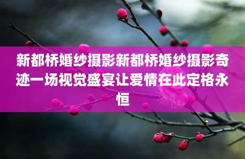 新都桥婚纱摄影新都桥婚纱摄影奇迹一场视觉盛宴让爱情在此定格永恒