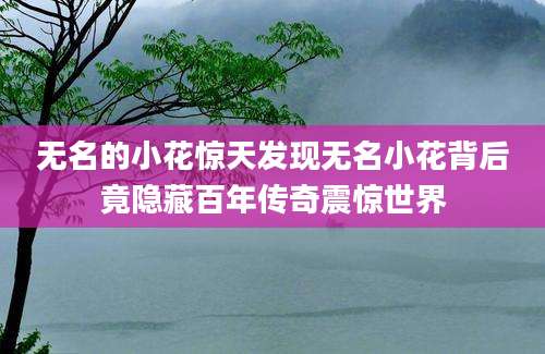 无名的小花惊天发现无名小花背后竟隐藏百年传奇震惊世界
