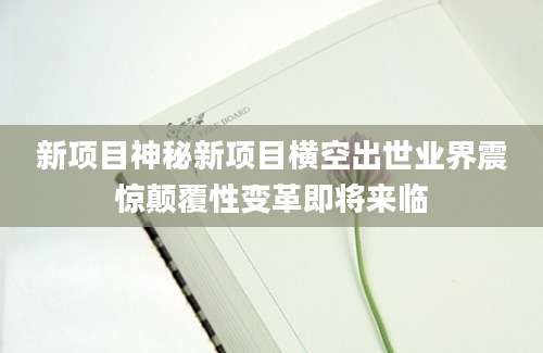新项目神秘新项目横空出世业界震惊颠覆性变革即将来临