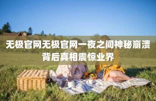 无极官网无极官网一夜之间神秘崩溃背后真相震惊业界