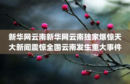 新华网云南新华网云南独家爆惊天大新闻震惊全国云南发生重大事件