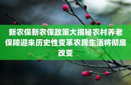 新农保新农保政策大揭秘农村养老保障迎来历史性变革农民生活将彻底改变
