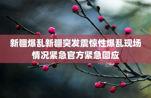 新疆爆乱新疆突发震惊性爆乱现场情况紧急官方紧急回应