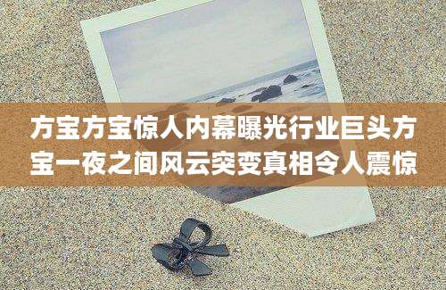 方宝方宝惊人内幕曝光行业巨头方宝一夜之间风云突变真相令人震惊