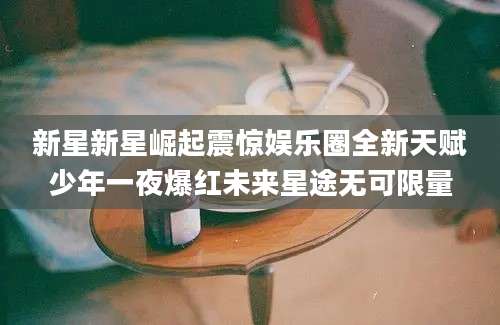 新星新星崛起震惊娱乐圈全新天赋少年一夜爆红未来星途无可限量
