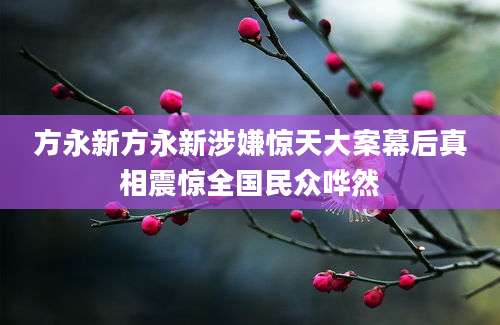 方永新方永新涉嫌惊天大案幕后真相震惊全国民众哗然