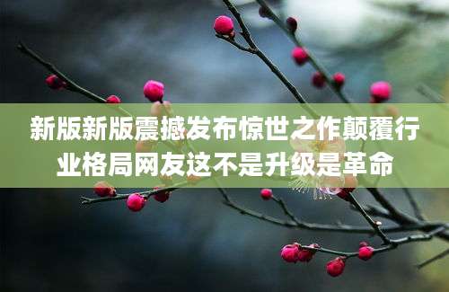新版新版震撼发布惊世之作颠覆行业格局网友这不是升级是革命