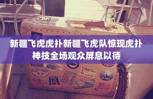 新疆飞虎虎扑新疆飞虎队惊现虎扑神技全场观众屏息以待