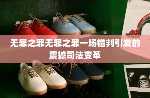 无罪之罪无罪之罪一场错判引发的震撼司法变革