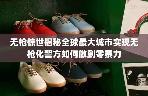 无枪惊世揭秘全球最大城市实现无枪化警方如何做到零暴力