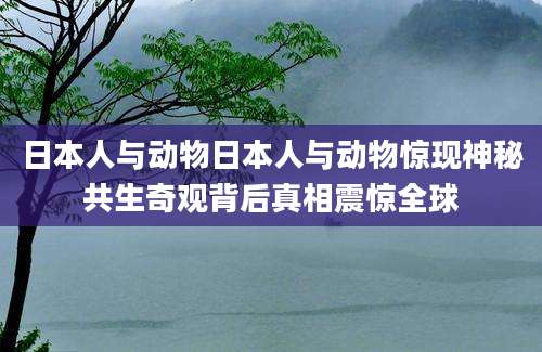 日本人与动物日本人与动物惊现神秘共生奇观背后真相震惊全球