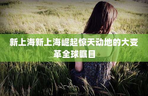 新上海新上海崛起惊天动地的大变革全球瞩目
