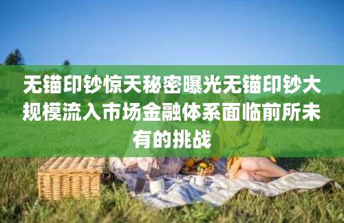 无锚印钞惊天秘密曝光无锚印钞大规模流入市场金融体系面临前所未有的挑战