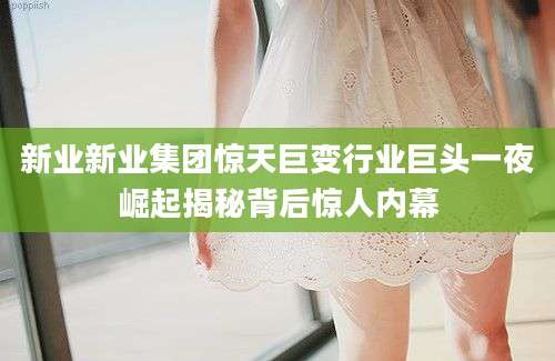 新业新业集团惊天巨变行业巨头一夜崛起揭秘背后惊人内幕