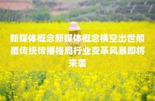 新媒体概念新媒体概念横空出世颠覆传统传播格局行业变革风暴即将来袭