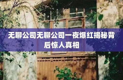 无聊公司无聊公司一夜爆红揭秘背后惊人真相