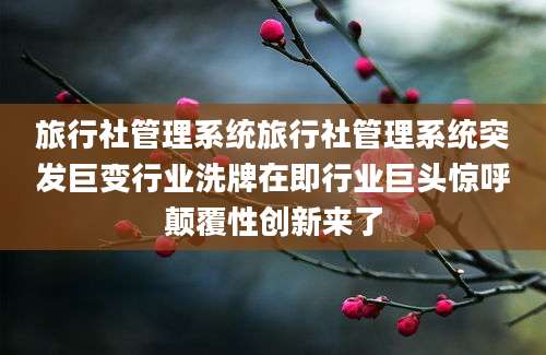 旅行社管理系统旅行社管理系统突发巨变行业洗牌在即行业巨头惊呼颠覆性创新来了