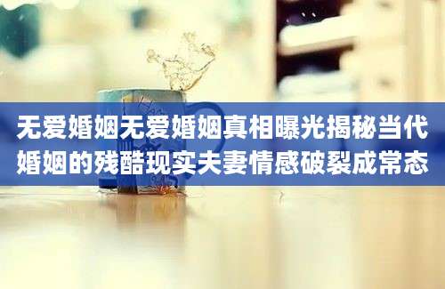 无爱婚姻无爱婚姻真相曝光揭秘当代婚姻的残酷现实夫妻情感破裂成常态