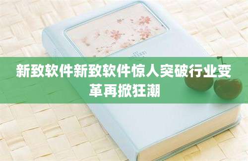 新致软件新致软件惊人突破行业变革再掀狂潮