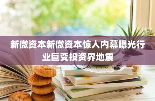 新微资本新微资本惊人内幕曝光行业巨变投资界地震