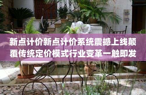 新点计价新点计价系统震撼上线颠覆传统定价模式行业变革一触即发